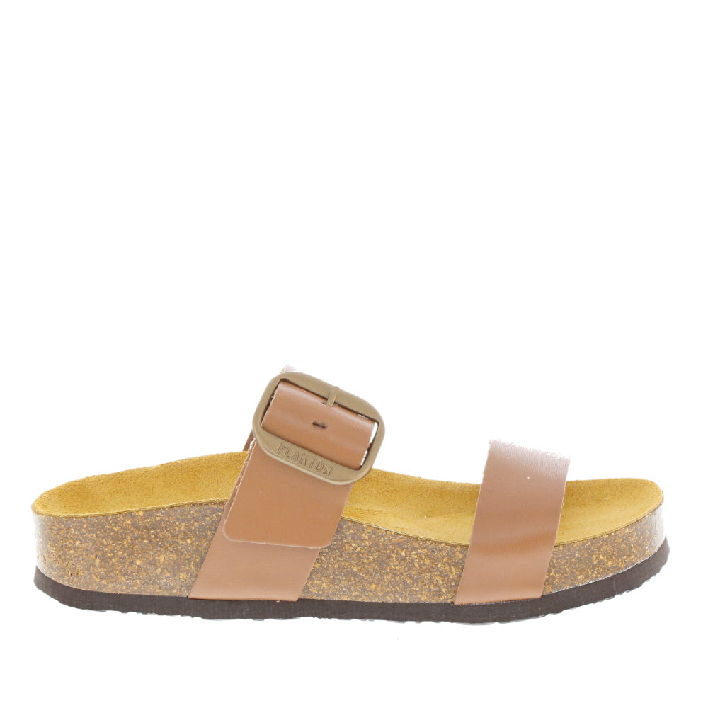 Plakton '343004' / Camel